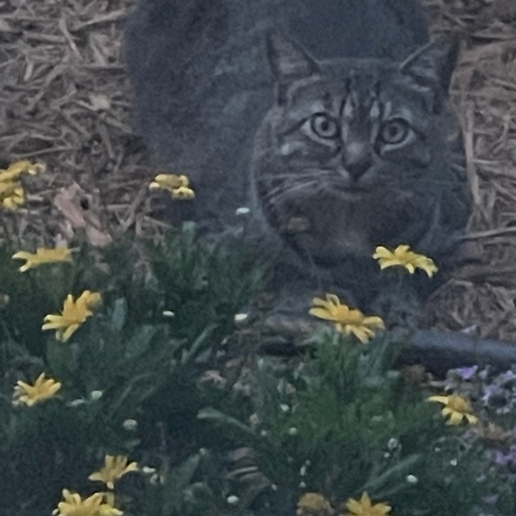 Meet your Posher, Donna - Picture 4 of 8